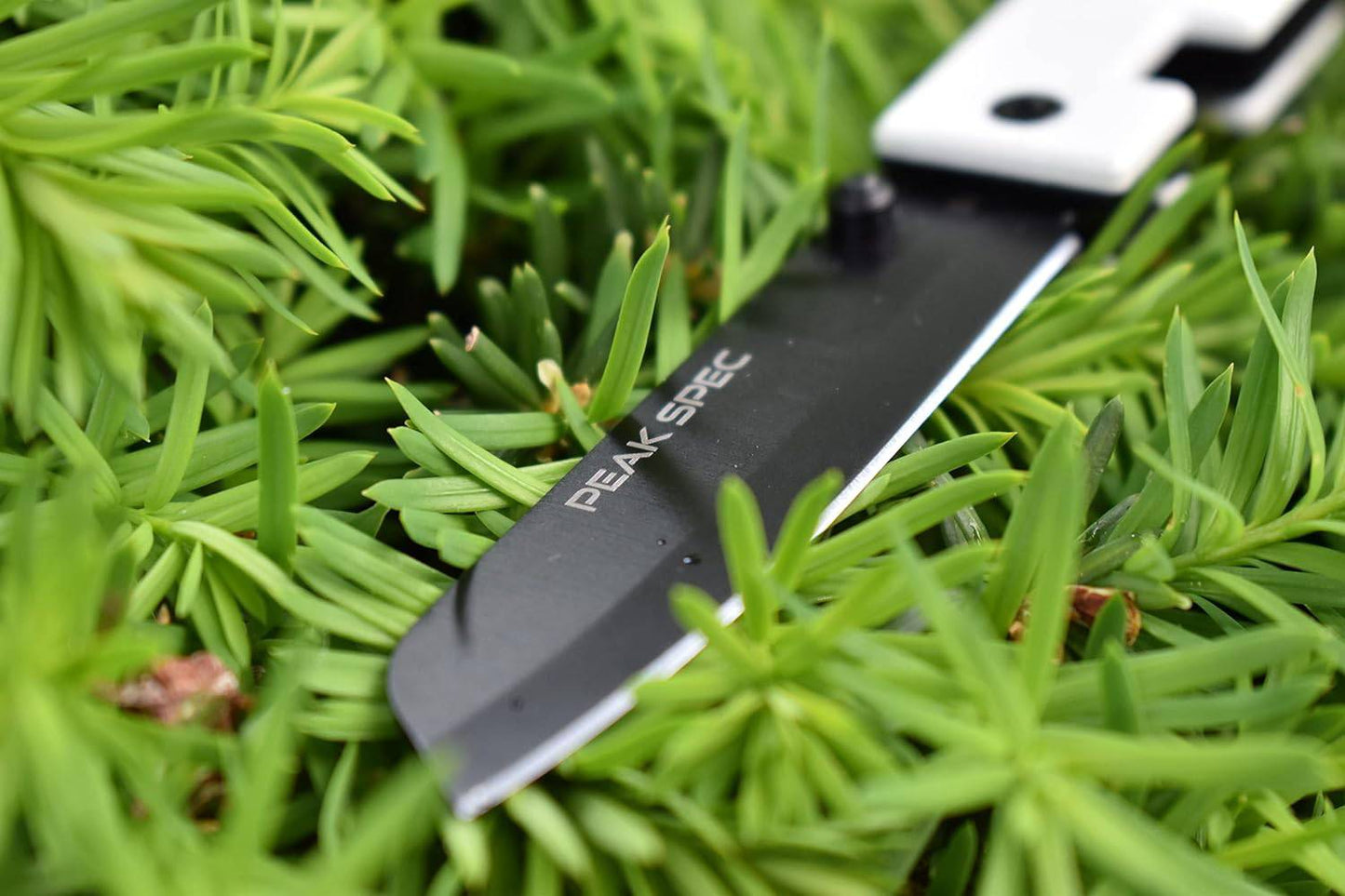 Modern Pocket Knife